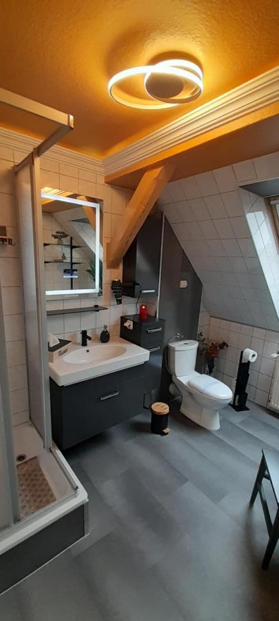 Best-Preis -Vip Lounge- Mit Netflix, Self-Check-In, Ebike Ladestation, Fahrradraum, Wlan Und Netflix - Direkt Am Elberadweg Im Herzen Von Віттенберґе Екстер'єр фото