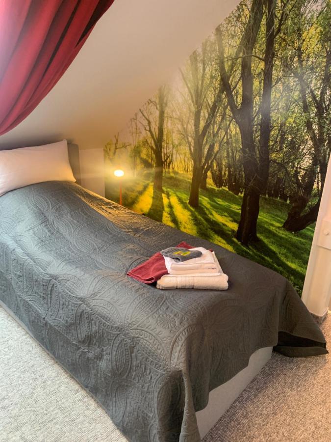 Best-Preis -Vip Lounge- Mit Netflix, Self-Check-In, Ebike Ladestation, Fahrradraum, Wlan Und Netflix - Direkt Am Elberadweg Im Herzen Von Віттенберґе Екстер'єр фото